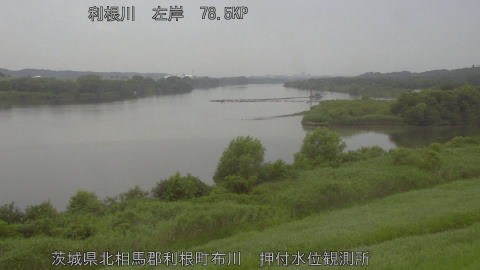 tonos2026071312_image