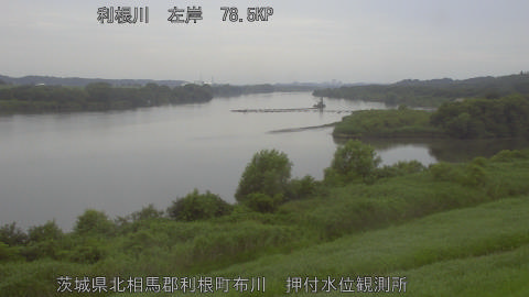 tonos2026071313_image