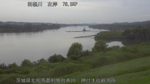 tonos2026071316_image