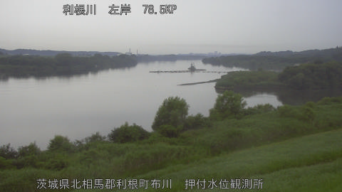 tonos2026071318_image