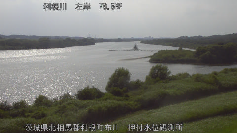 tonos2026071416_image