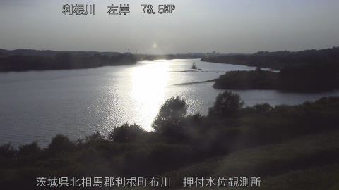 tonos2026071418_image