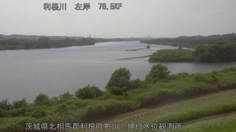 tonos2026071515_image
