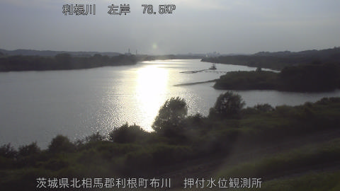 tonos2026071518_image