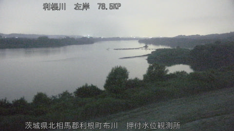 tonos2026071704_image