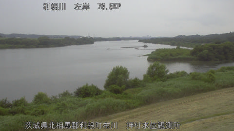 tonos2026071714_image