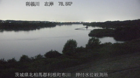 tonos2026072004_image