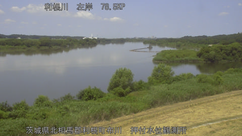 tonos2026072011_image