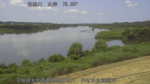 tonos2026072012_image