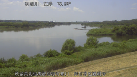 tonos2026072013_image