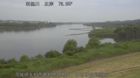 tonos2026072108_image