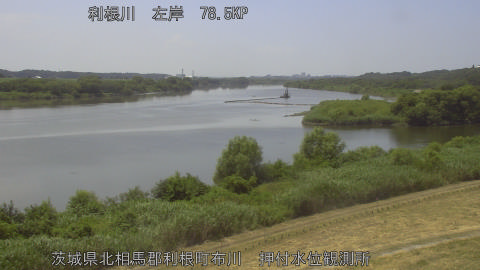 tonos2026072113_image