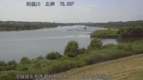 tonos2026072114_image