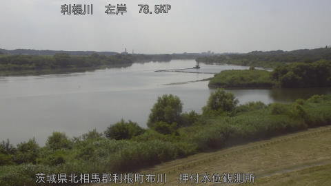 tonos2026072115_image