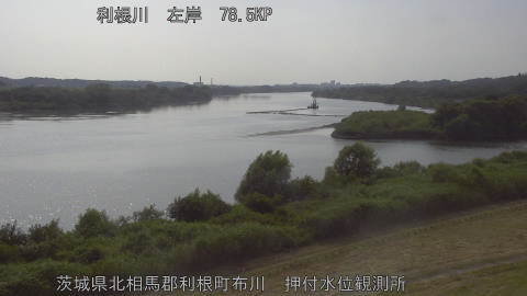 tonos2026072116_image