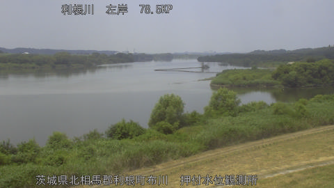 tonos2026072212_image