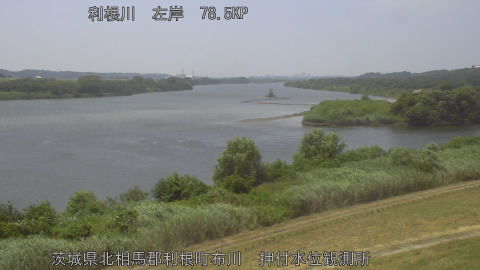 tonos2026072313_image