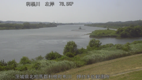 tonos2026072314_image