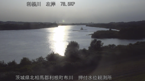 tonos2026072318_image