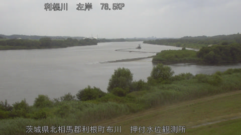tonos2026072413_image