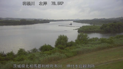 tonos2026072419_image