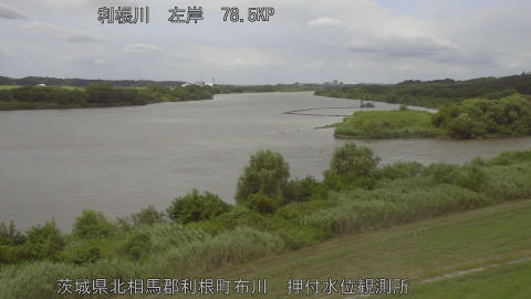 tonos2026072712_image