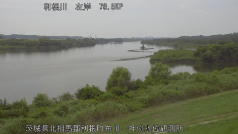 tonos2026080113_image