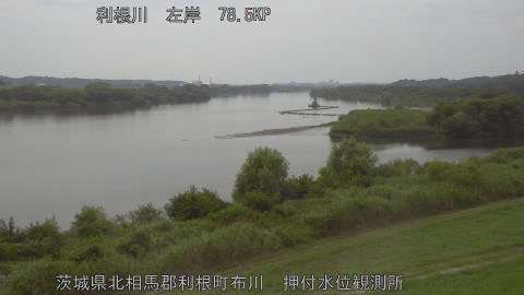 tonos2026080114_image