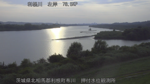tonos2026080118_image