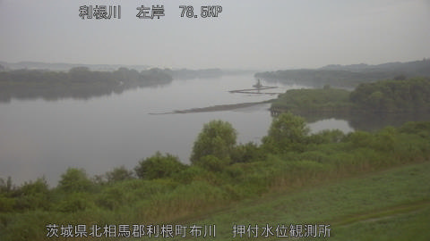 tonos2026080205_image