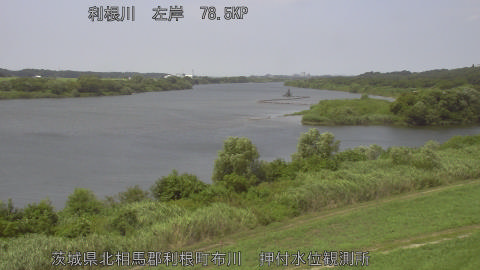 tonos2026080212_image