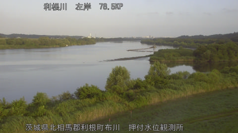 tonos2026080406_image