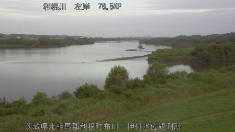 tonos2026080506_image
