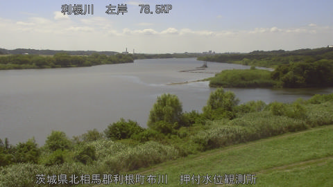 tonos2026080514_image