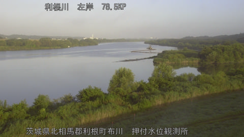 tonos2026080706_image