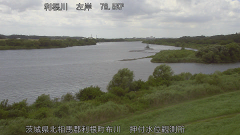 tonos2026080713_image