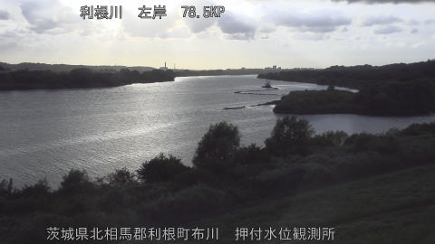 tonos2026080718_image