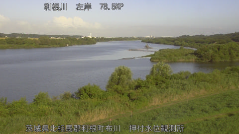tonos2026080807_image