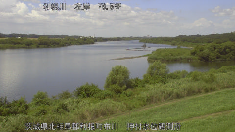 tonos2026080812_image