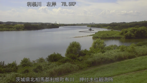 tonos2026080814_image