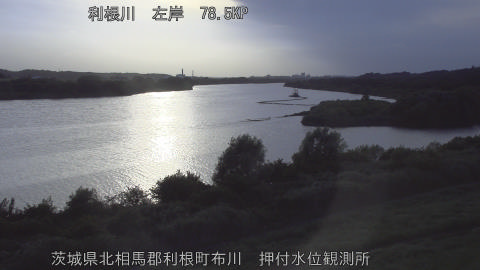 tonos2026080818_image