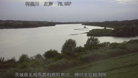 tonos2026080819_image