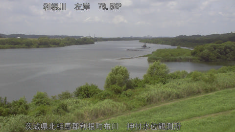 tonos2026080912_image