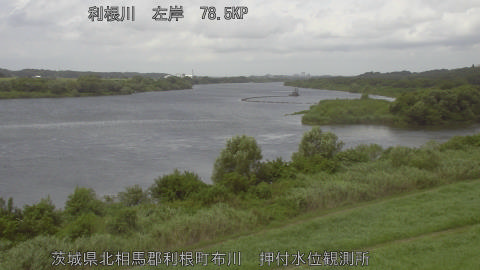 tonos2026081212_image