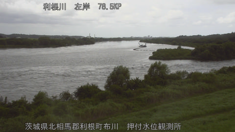 tonos2026081512_image