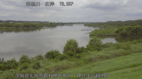 tonos2026081712_image