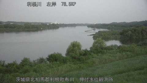 tonos2026082505_image