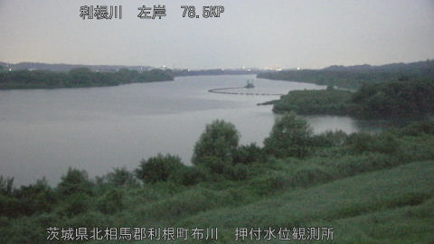 tonos2026082705_image