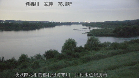 tonos2026082905_image