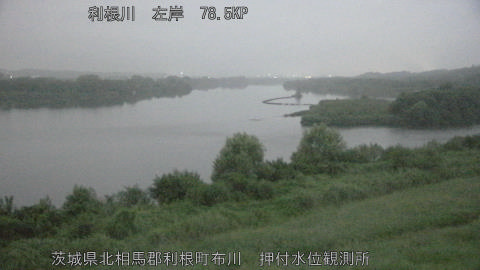 tonos2026090205_image